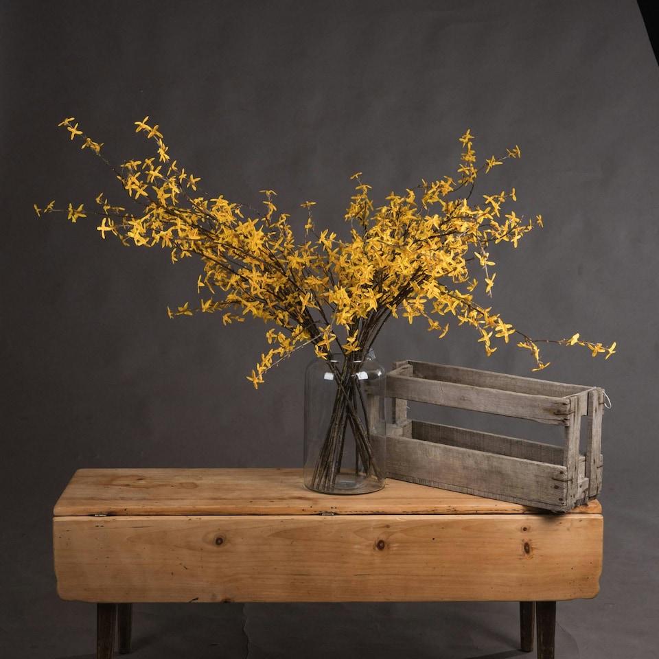 image 1 of Hill Interiors Artificial Winter Jasmine - Vibrant Yellow - One Size