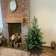image 1 of Everlands 150cm (5ft) Green Grandis Fir Real Look Christmas Tree 1038 Tips