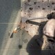 image 2 of Set Of 2 Sds Plus Chisel Drill Bit 50mm Rotary Hammer Masonry Drilling