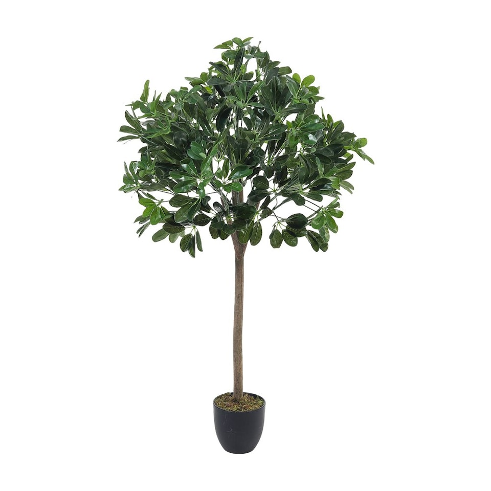 image 1 of Living and Home Artificial Schefflera Arboricola Tree in Pot - 122cm