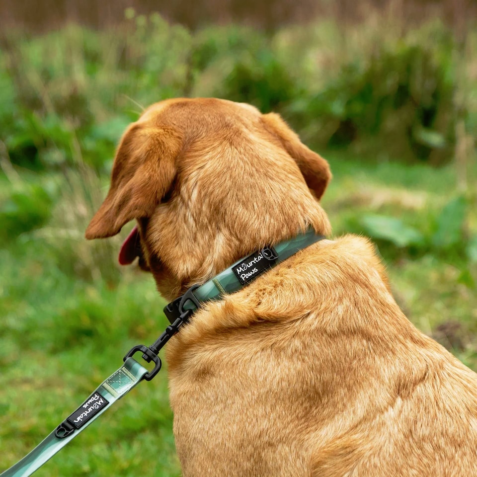 image 1 of Mountain Paws Waterproof Green Ombre Dog Collar | Green | XL