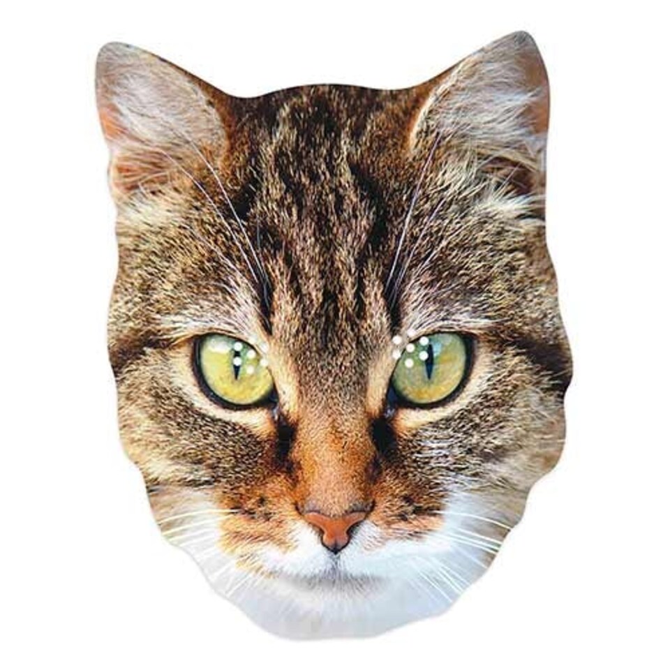 Cat Cardboard Face Mask