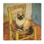 Van Gogh's Chair Ragdoll Cat