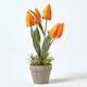 image 5 of Homescapes Orange & Red Artificial Tulips in Grey Decorative Stone Pot, 27 cm