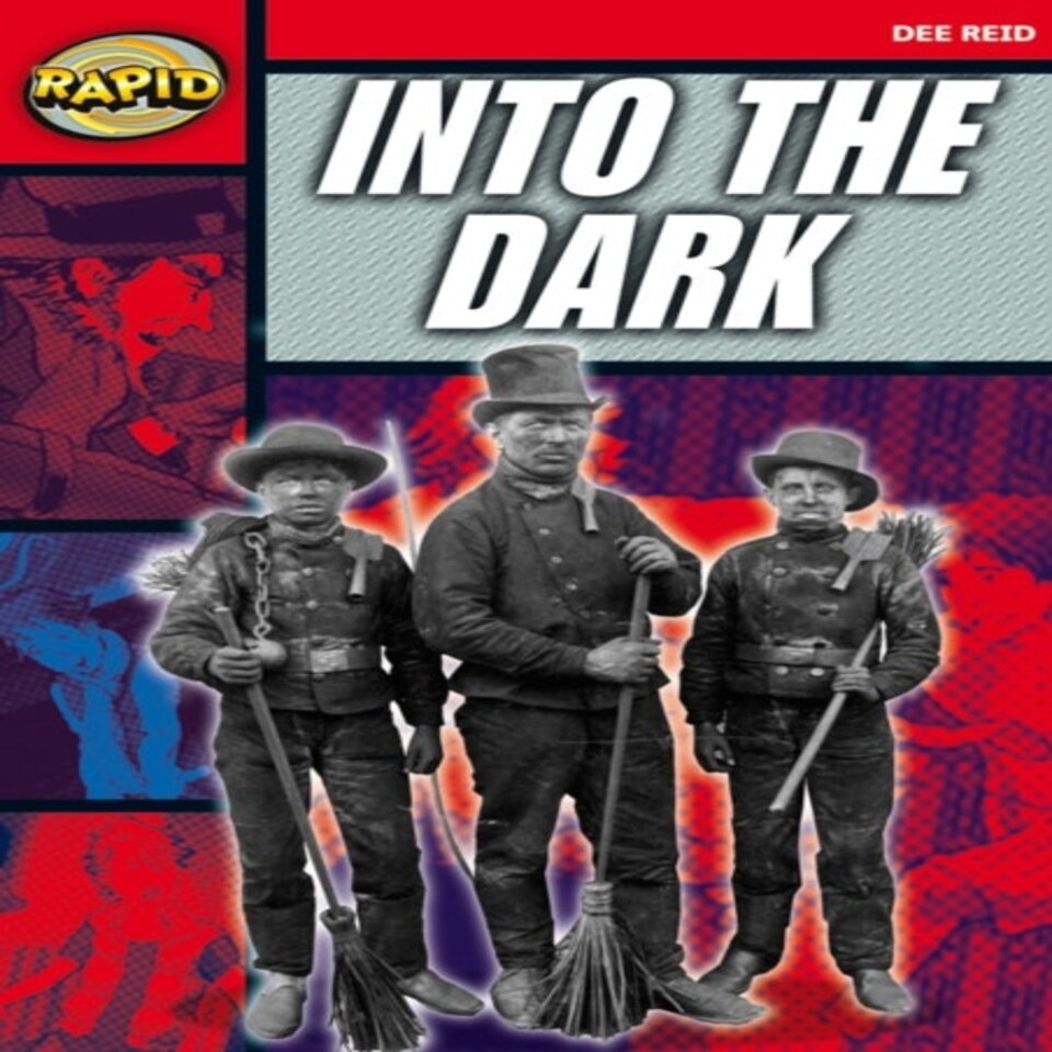 Rapid Reading: Into The Dark (stage 5 Level 5a)