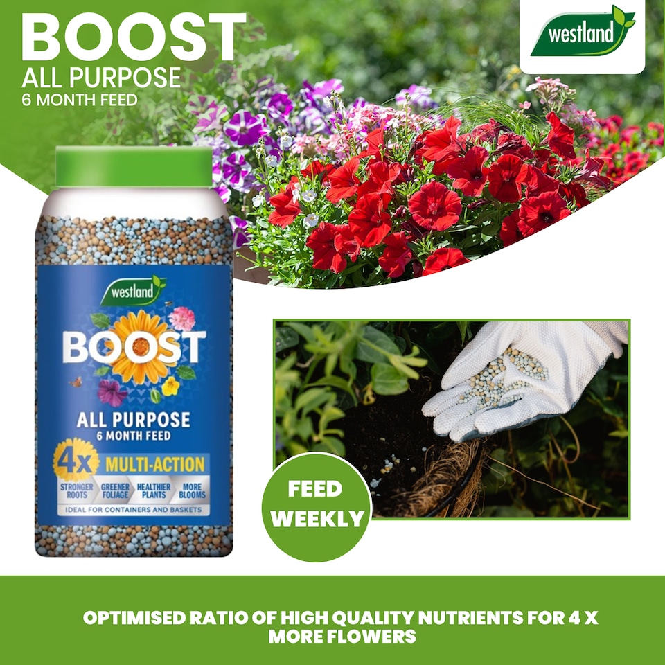 image 1 of Westland Boost All Purpose Plant Food 750g Slow Release Granules 6 Month Feed for Flowers Fruits Vegetables Healthy Growth