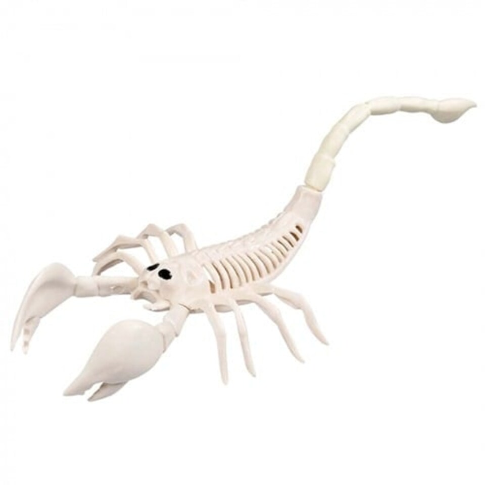 image 1 of Scorpion Skeleton Halloween Plastic Prop Decoration 31cm