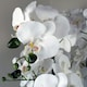 image 4 of 60cm Orchid Artificial White - Marble Effect  Ceramic Planter