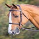 image 2 of Shires Salisbury Fairford Bridle Brown | Colour: Australian Nut
Size: Full