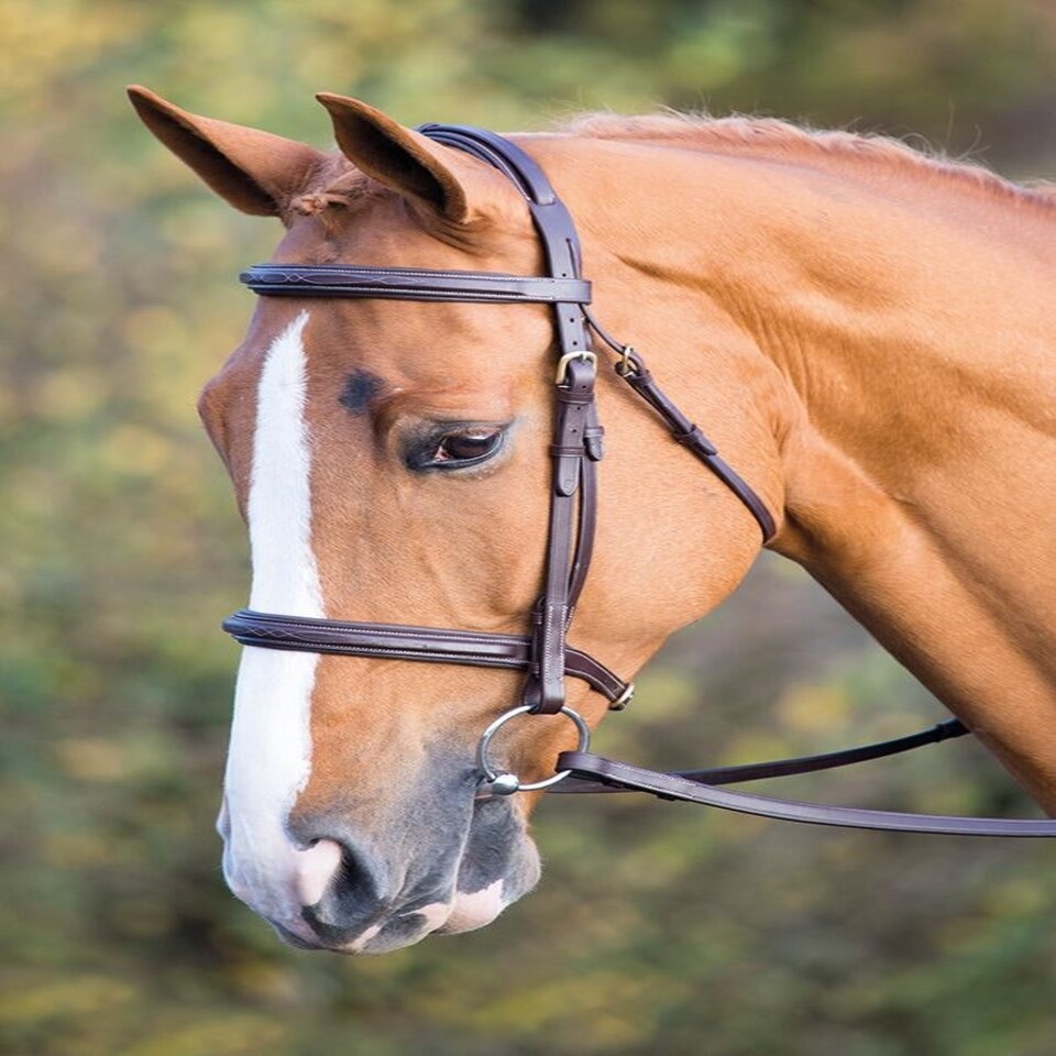 image 1 of Shires Salisbury Fairford Bridle Brown | Colour: Australian Nut
Size: Full