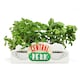 image 1 of Friends Table Top Vase - Central Perk