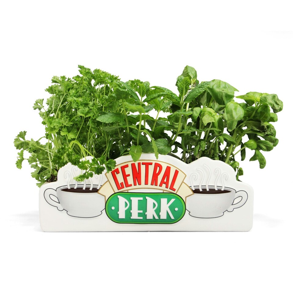 image 1 of Friends Table Top Vase - Central Perk