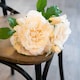 image 3 of Peachy Cream Short Stem Rose Bouquet Artificial Flower - Fabric/Plastic - L25 x W25 x H35 cm - Pink/White