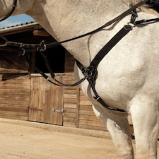 Rhinegold V Check Elasticated Breastplate Brown | Size: Cob
Colour: H.Brown