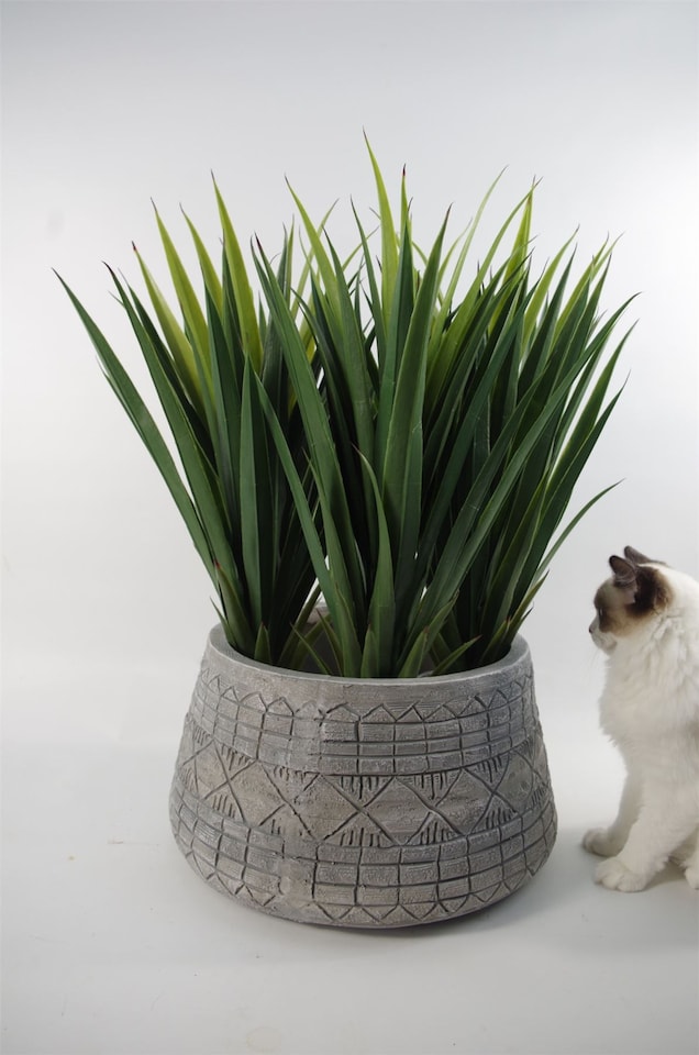image 1 of 22cm x 37cm Large Grey Gliese Embossed Planter | Grey
