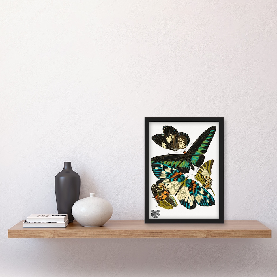 image 1 of Eugene Seguy Framed Wall Art Print Vintage Butterflies Green Blue Home Décor