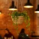 image 2 of Green Blade Rope Hanging Basket - 30cm - Planter Flower Pot Plant Pot Hanger Brown