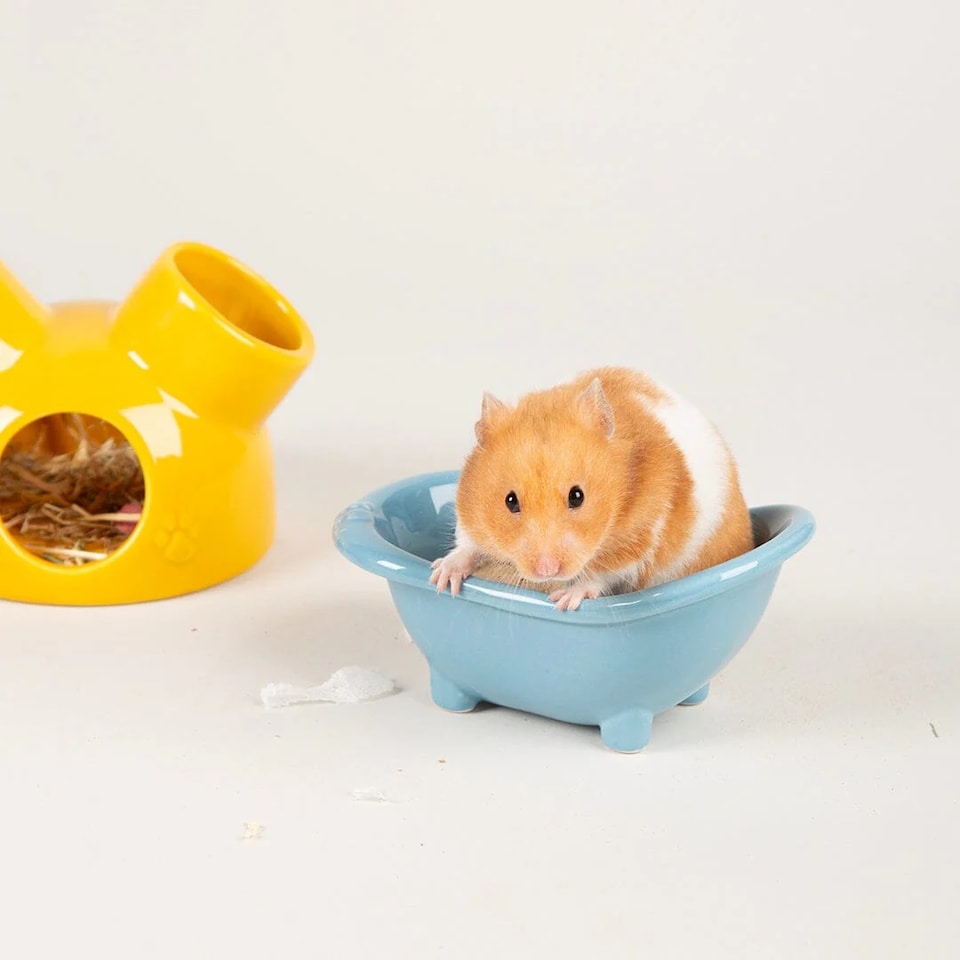 image 1 of Scruffs Small Pet Colours Ceramic Set - House, Sand Bath & Food Bowl