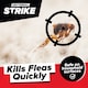 image 2 of CritterKill Professional Insect Killer Smoke Fogger 15g - 4 Pack