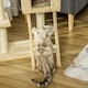 image 8 of PawHut Cat Tree Scratching Post Kitten Activity Centre with Hammock, Beige