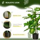 image 4 of HOMCOM Artificial Evergreen Tree Fake Decorative Plant in Nursery Pot for Indoor Decor, 95cm