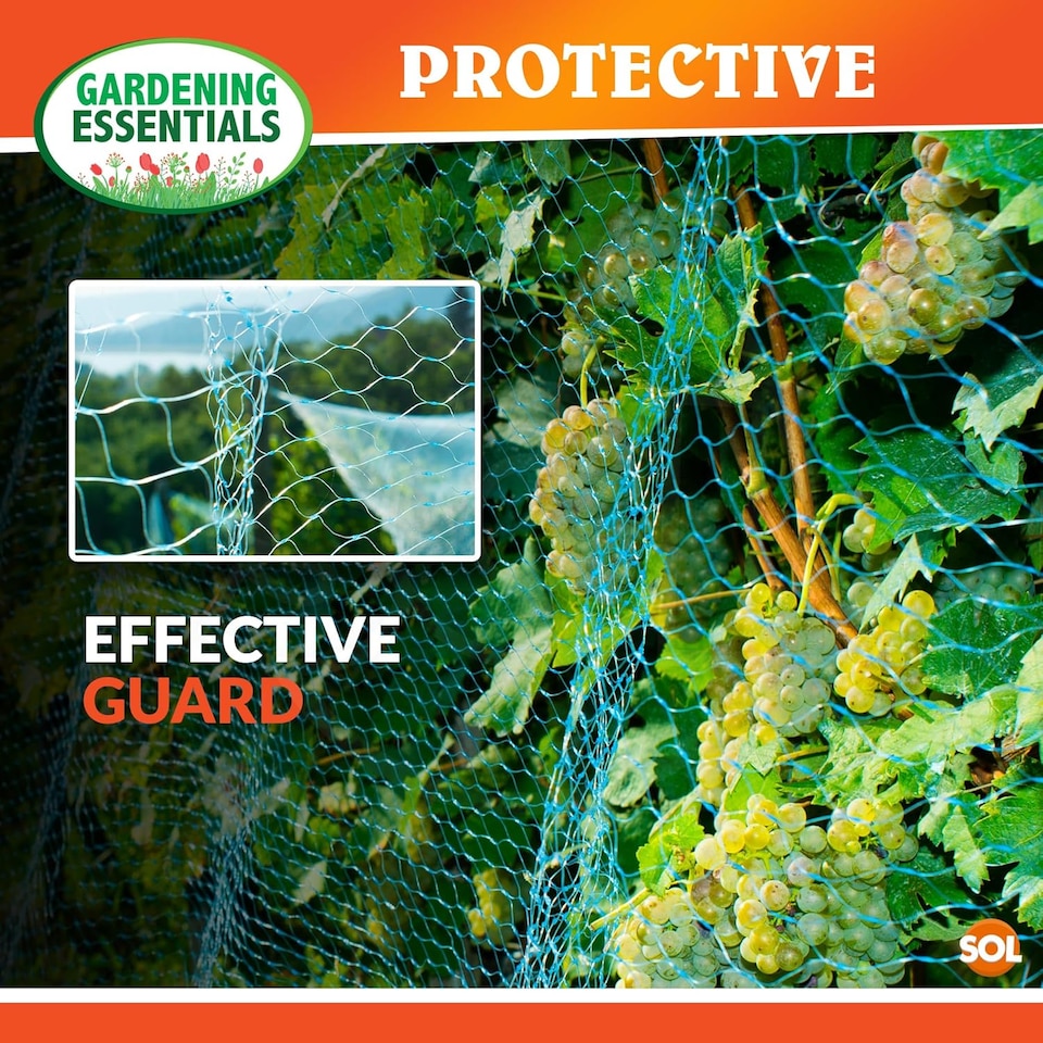 image 1 of Versatile Green Garden Netting 2m x 10m – Durable Weatherproof Anti-Bird Mesh for Plants, Fruit, Vegetables, Grass Seed, Ponds & Shrubs