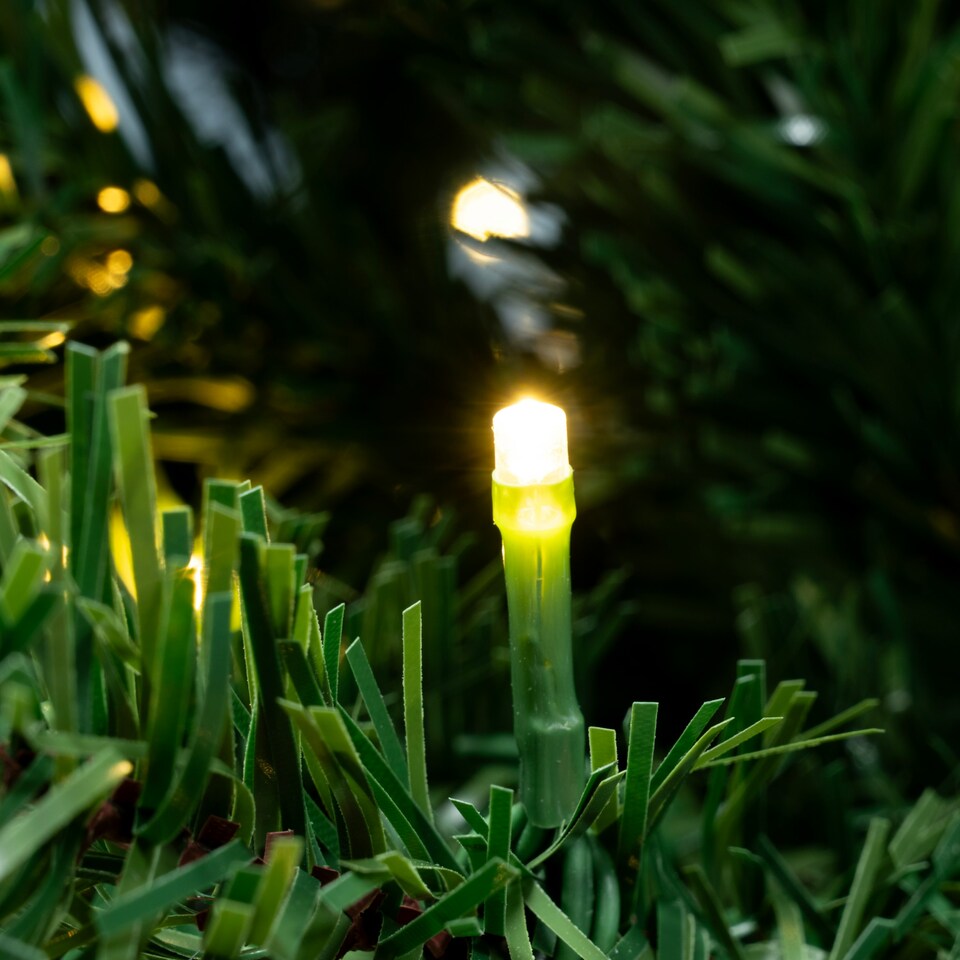 image 1 of Christmas Tree World  Pre-lit 1.4m Vanda Verde Fir Christmas Tree
