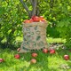 image 3 of True Products Natural Jute Hessian Potato Sack Vegetable Storage Bags - Pack of 5 Brown | Green