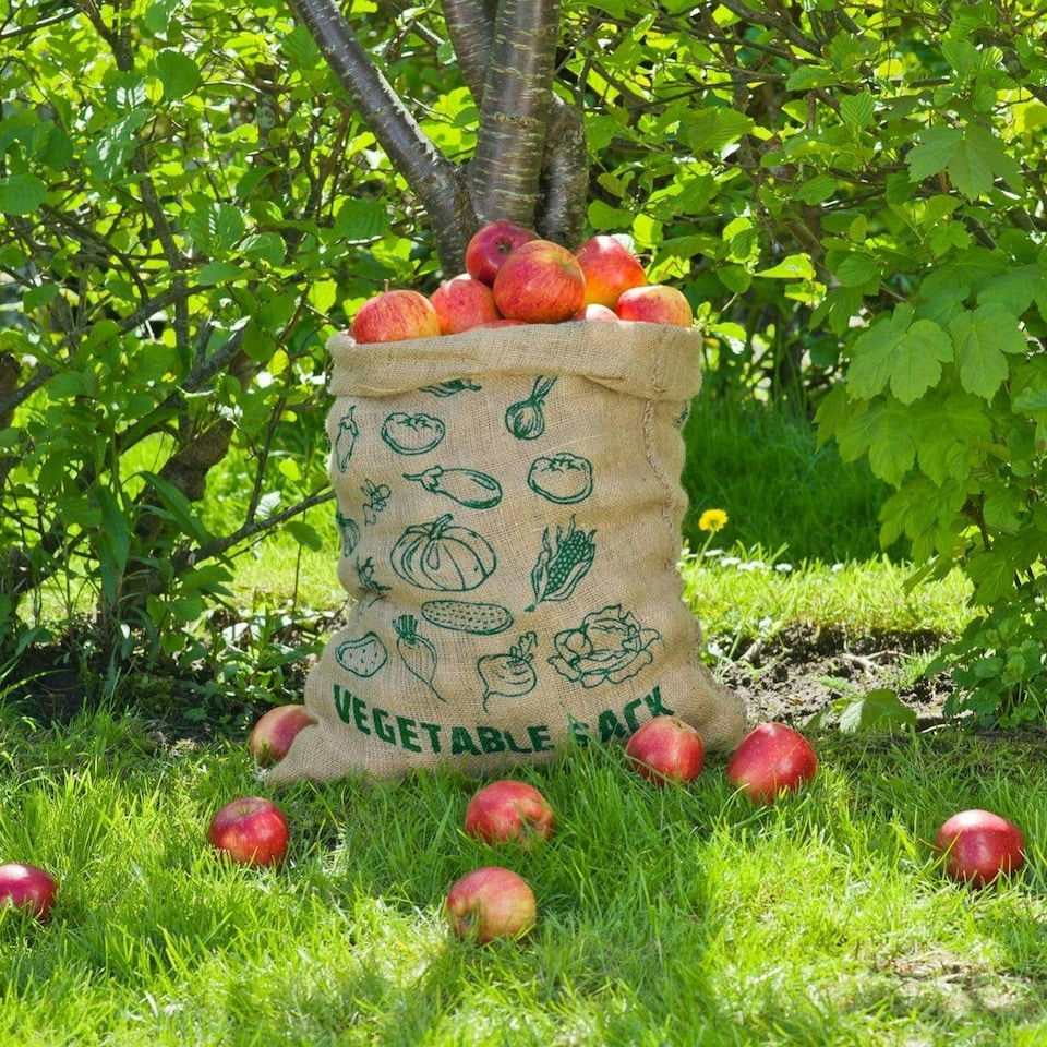 image 1 of True Products Natural Jute Hessian Potato Sack Vegetable Storage Bags - Pack of 5 Brown | Green
