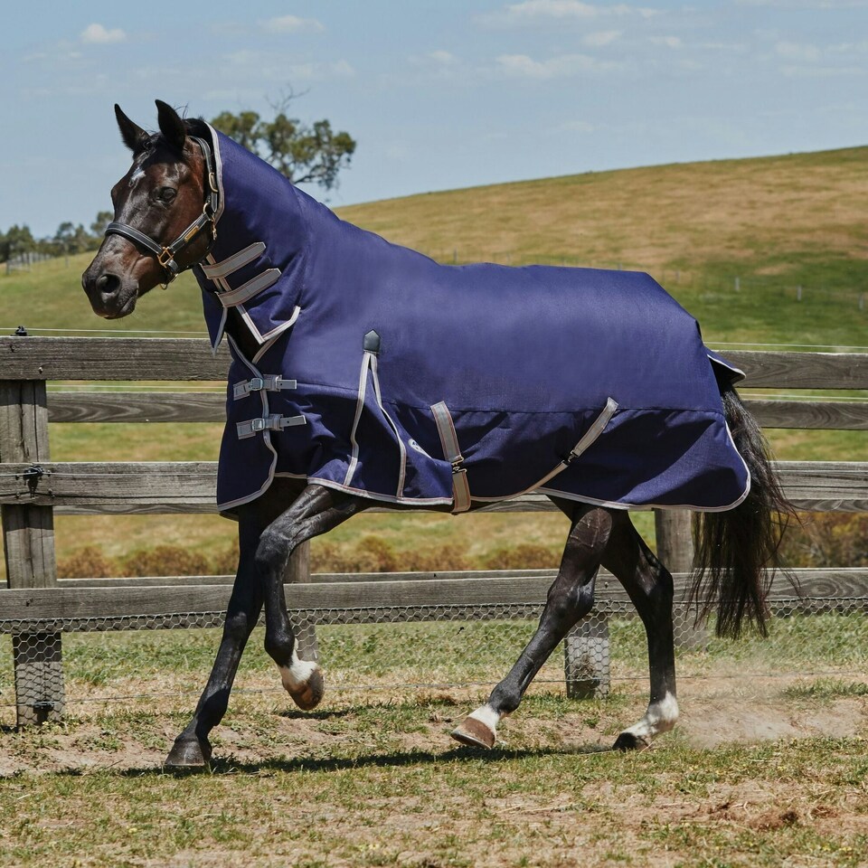 image 1 of Weatherbeeta Comfitec Essential Combo Neck Horse Turnout Rug - Navy/Silver/Red - 6´ 5"