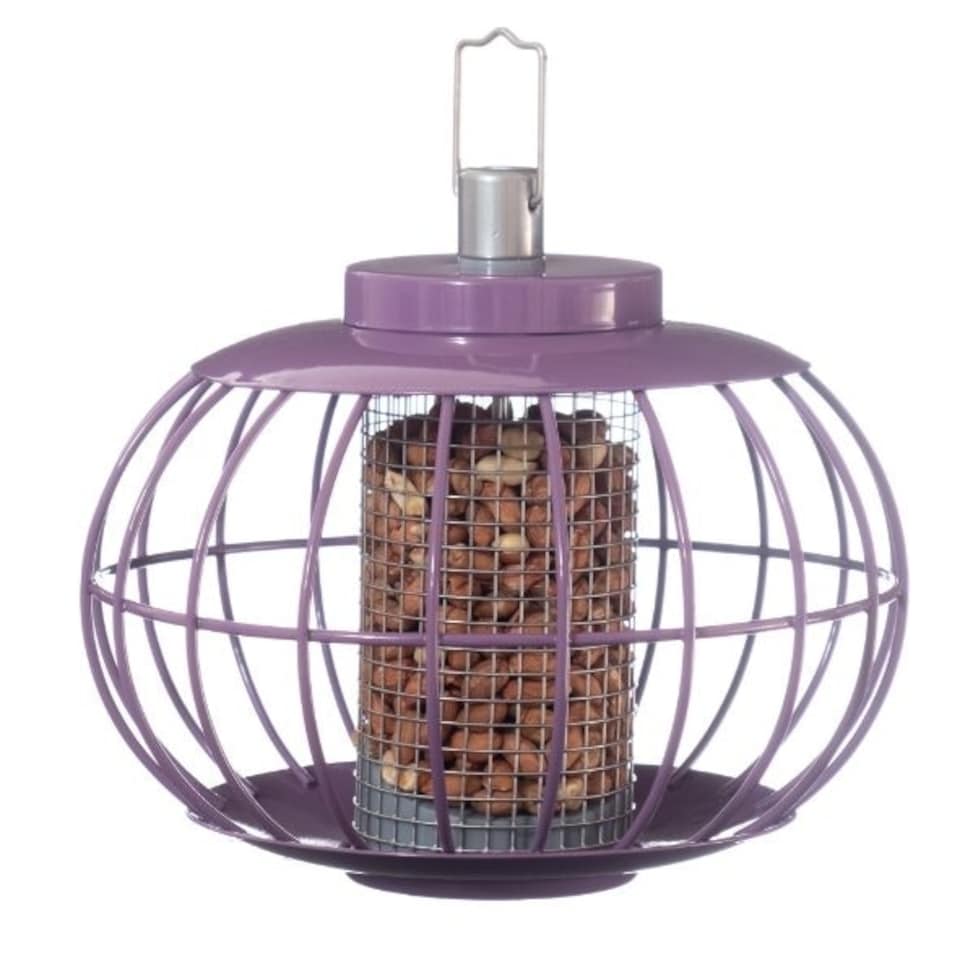 The Nuttery Lantern Nut Squirrel Proof Wild Bird Feeder