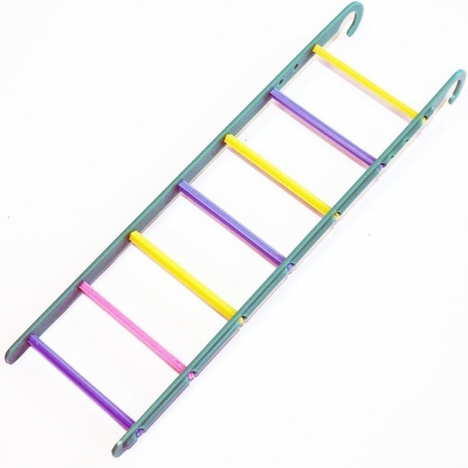 Happy Pet Fun at the Fair 7 Step Bird Ladder