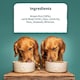 image 5 of Burns Original Lamb & Brown Rice Hypoallergenic Adult & Senior Dry Dog Food - 6 kg | Multi | 6kg | 1
