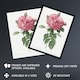 image 2 of Giant Gallica Rose Floral Redoute Vintage Framed Wall Art Print 12X16"