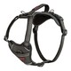image 1 of Halti Anatomy Dog Harness - Grey - S