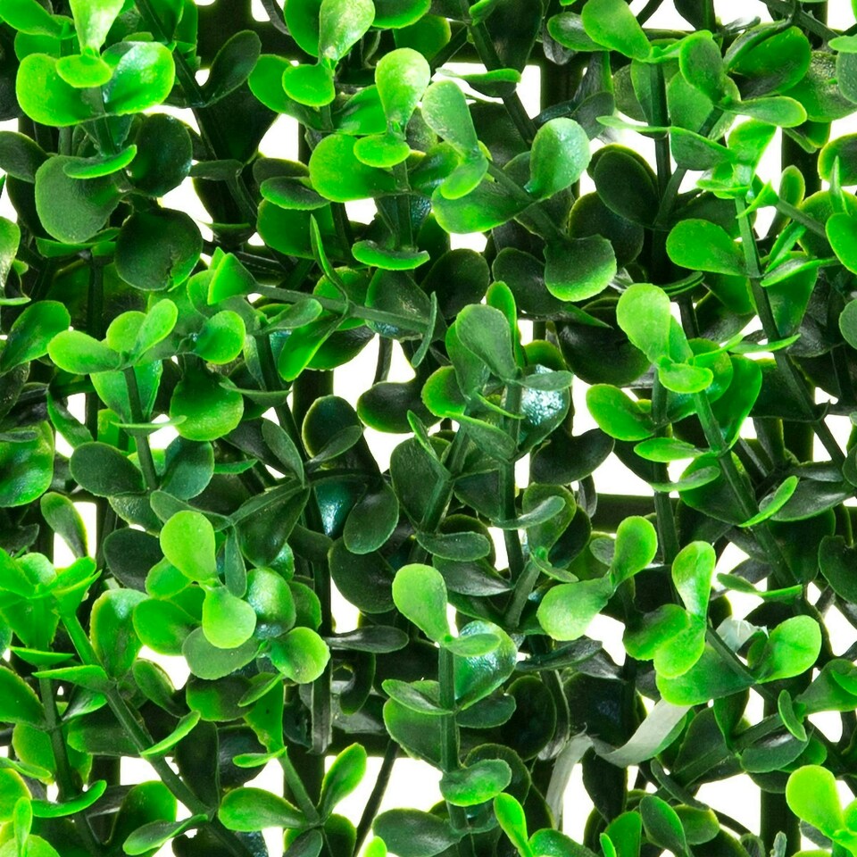 image 1 of Primrose Buxus Artificial Hedge Outdoor Patio Fence Panel 50cm x 50cm