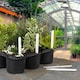 image 2 of Ambassador Plant Labels (Pack of 100) - White - 10cm