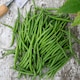 image 1 of Marshalls Garden Dwarf French Bean Seeds 'Faraday' - High Yield Disease Resistant | Green | Green, White | Seeds
