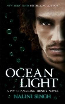 Ocean Light Paperback Book