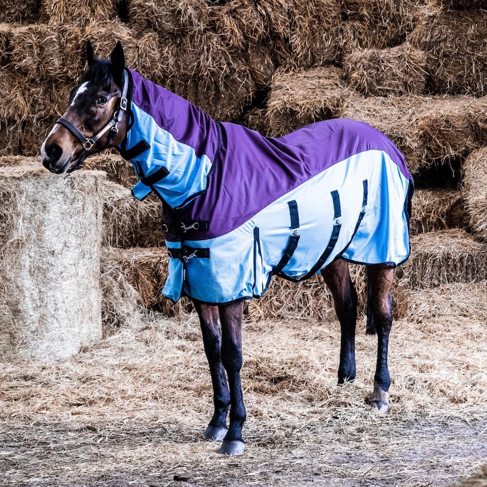 image 1 of eQuitack 600D 2 in 1 Waterproof Fly Turnout Mesh Horse Rug Fixed Neck Burgundy/Blue 6'9''