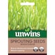 image 2 of Unwins Wheatgrass Seeds (Sprouting) 400 Seeds