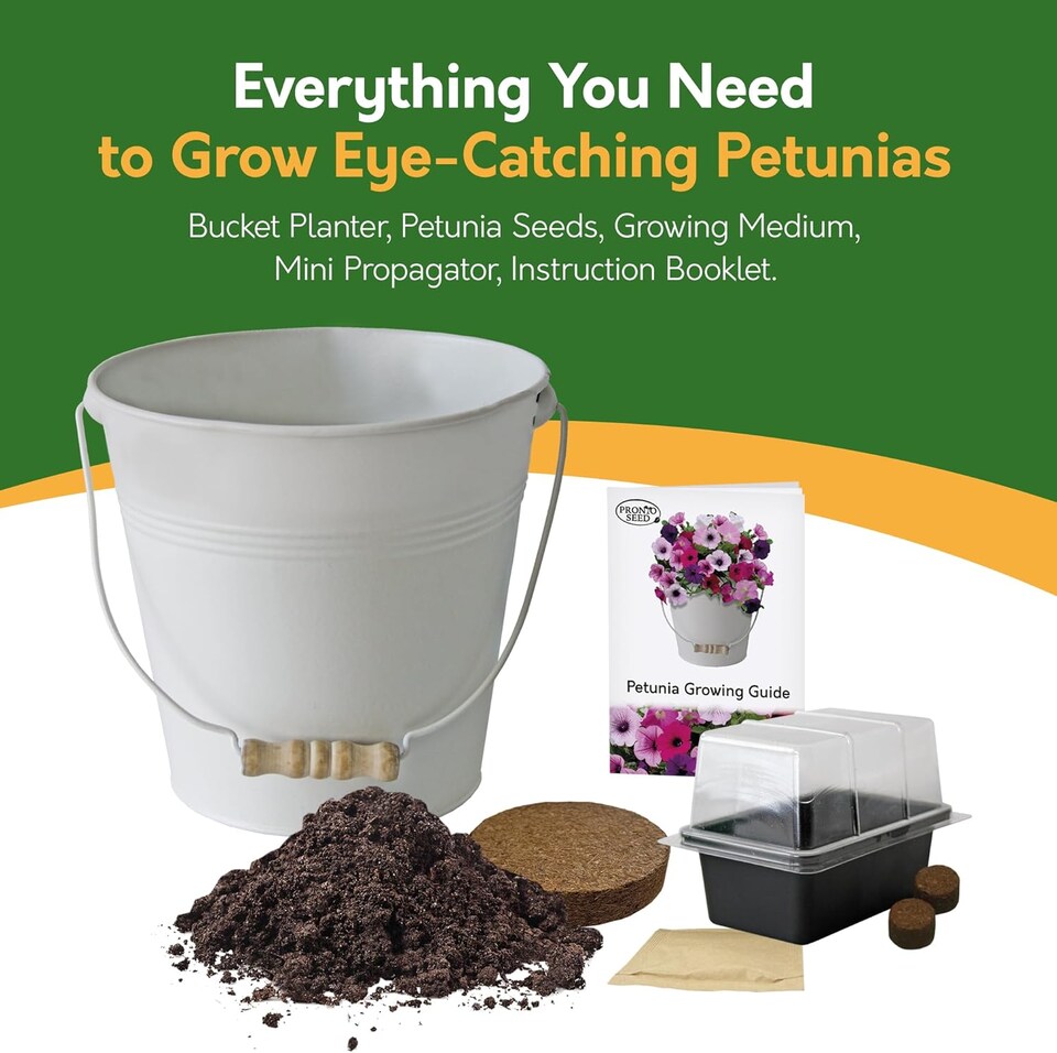 image 1 of Pronto Seed Petunia Grow Your Own Kit with Decorative Bucket Planter - Colourama Mix | Multi | Petunia Bucket | 1