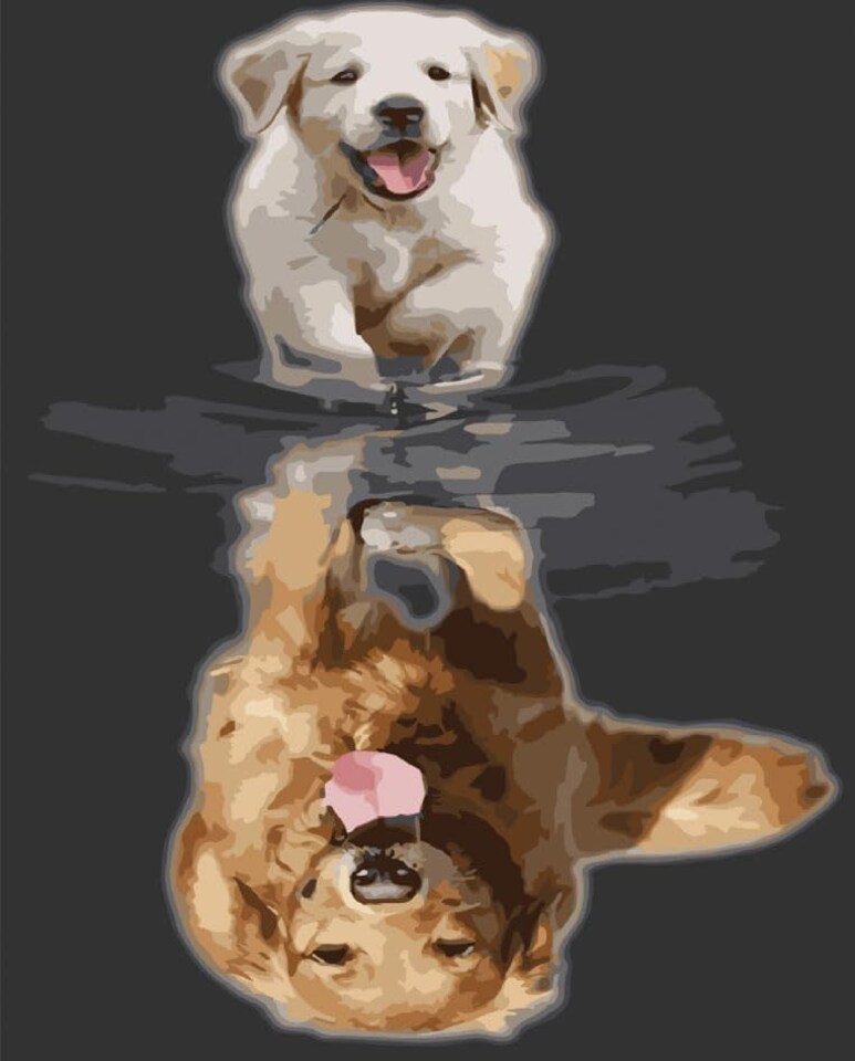 YSCOLOR Diamond Painting Pittura Diamante Fai Da Te British Cocker Spaniel Diamante Rotondo Pieno Mosaico Animale Domestico 5D Diamante Ricamo Strass Regalo 30x40cm