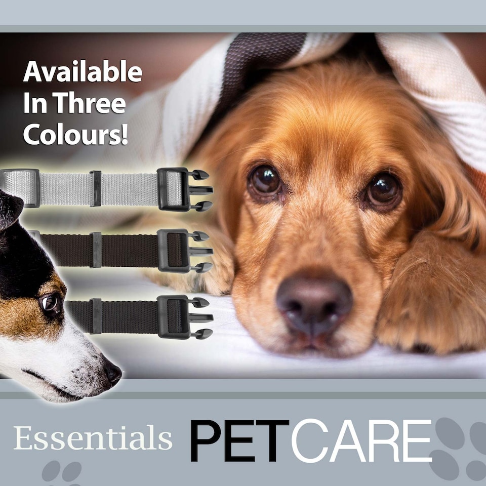 image 1 of Crufts Large Grey Nylon Dog Collar - Adjustable 40cm, 2.5cm Wide