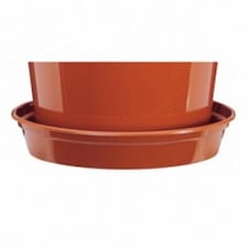 Stewart Plant Saucer - Terracotta - 10in