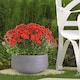 image 10 of Large Ribbed Stone Grey Light Concrete Bowl Garden Planter H12 D31 cm, 9 ltrs Cap.
