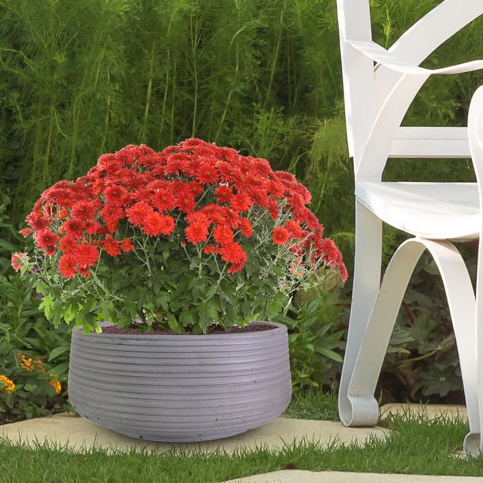 image 1 of Large Ribbed Stone Grey Light Concrete Bowl Garden Planter H12 D31 cm, 9 ltrs Cap.