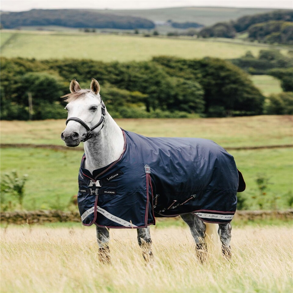 lemieux-kudos-turnout-rug-50g-blue-6ft-9-tesco-groceries