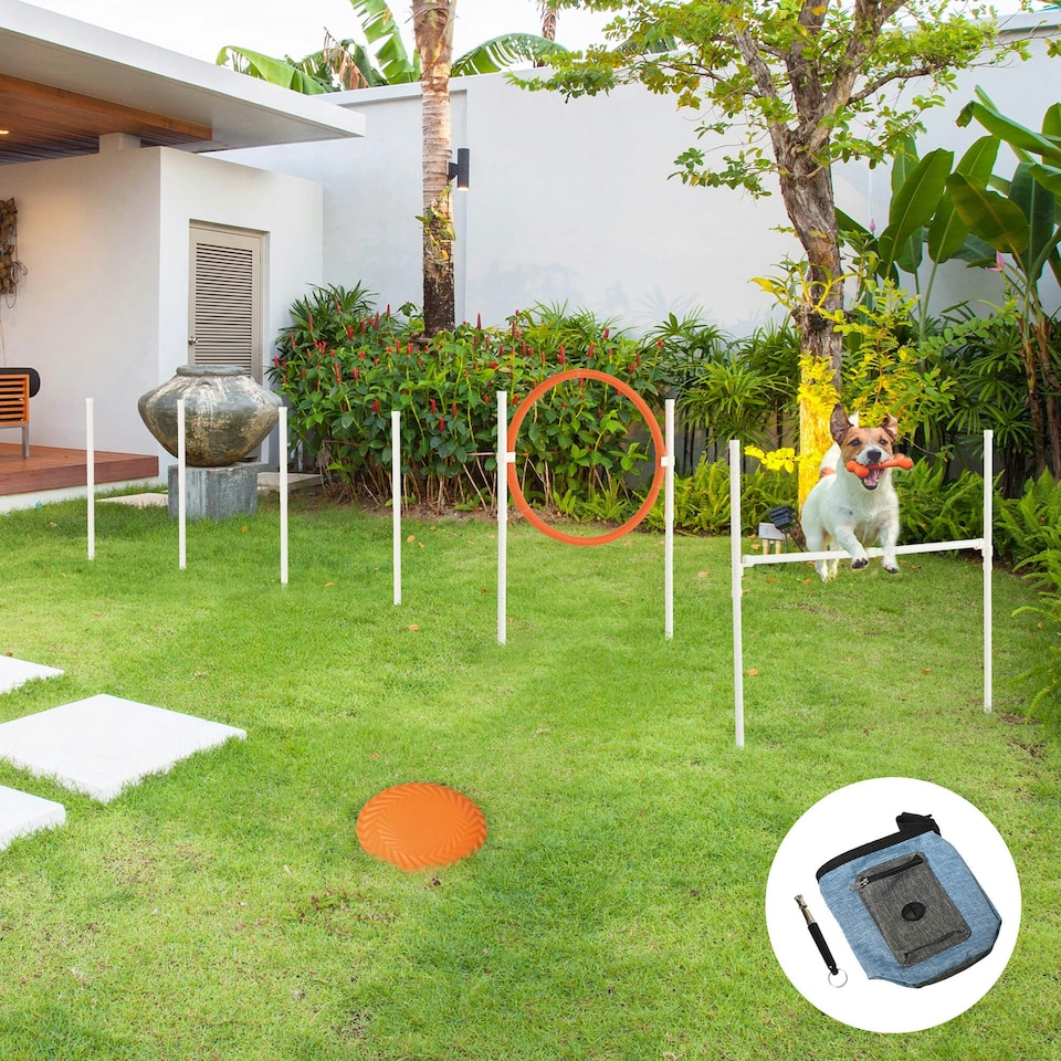image 1 of Dog Agility Equipment Obedience Training Set for Dogs - Multicoloured