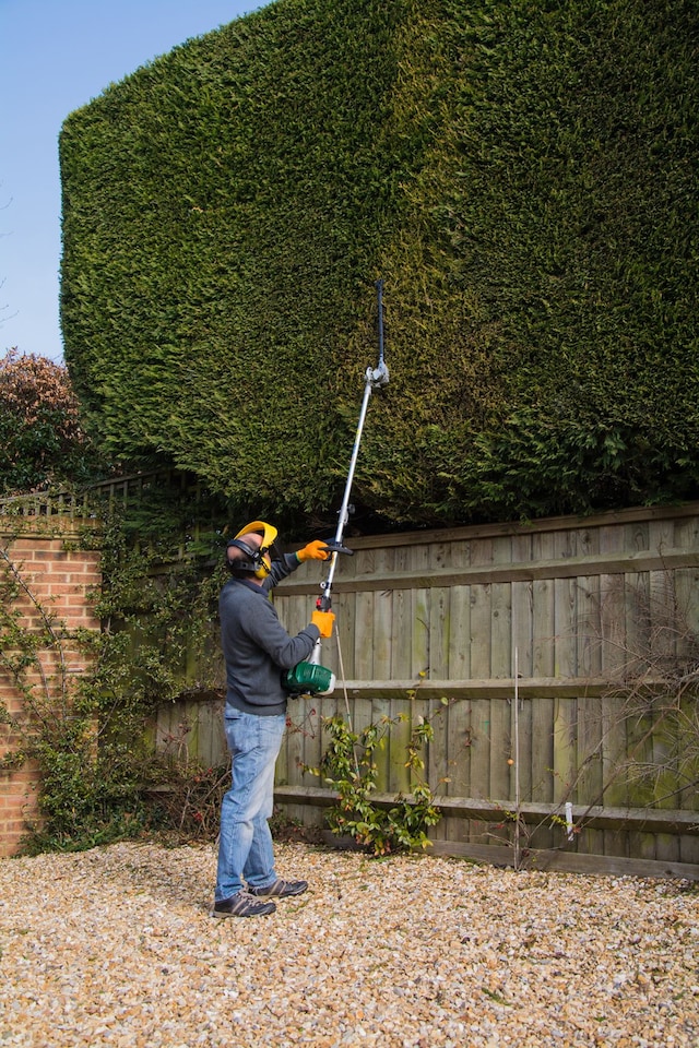 image 1 of Webb WEPHT26 26cc Petrol Split-Shaft Long-Reach Hedge Trimmer 42cm